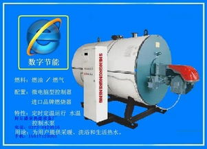 電開水鍋爐及多種熱能設(shè)備的專業(yè)解析 以封丘縣留光鎮(zhèn)盛榮熱能設(shè)備廠為例